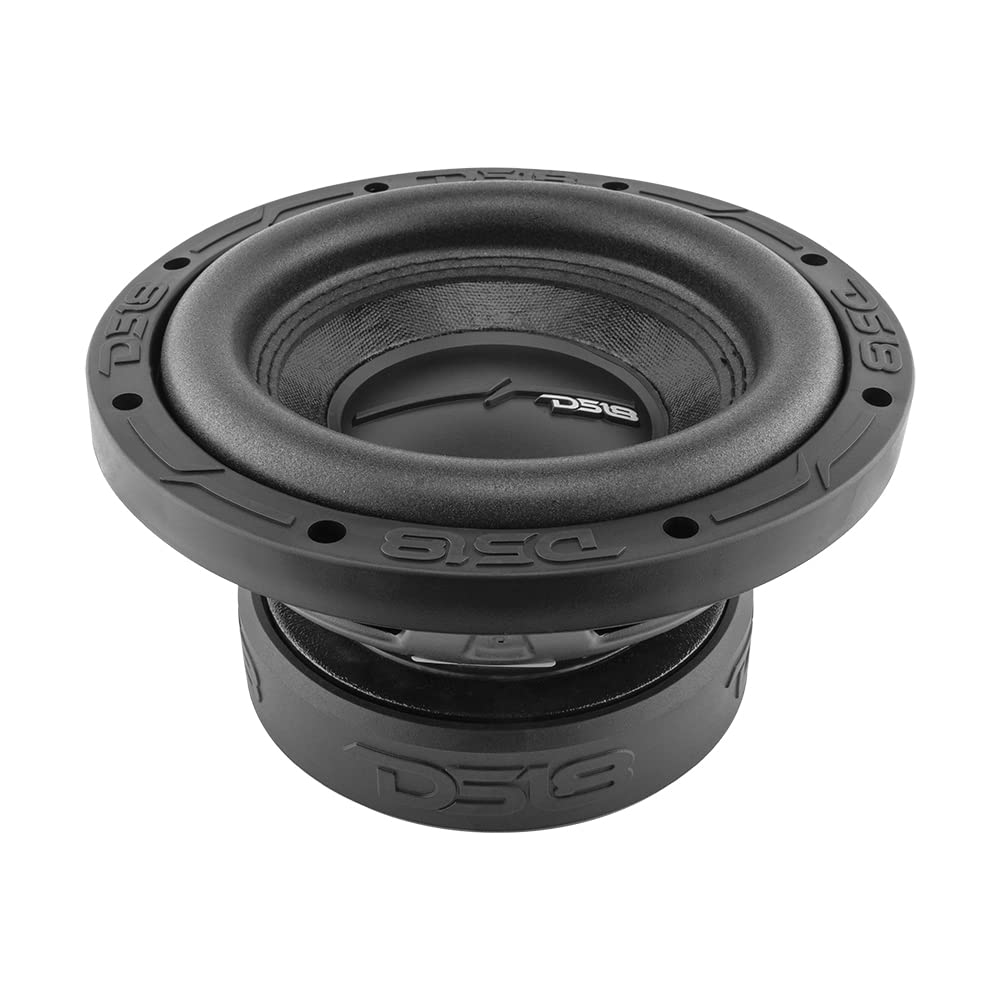 DS18 ZR8.4D Elite-Z front view in car install shows compact, versatile fit