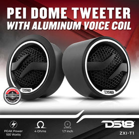 DS18 ZXI-T1 flush mount detail illustrating compact fit and clean finish