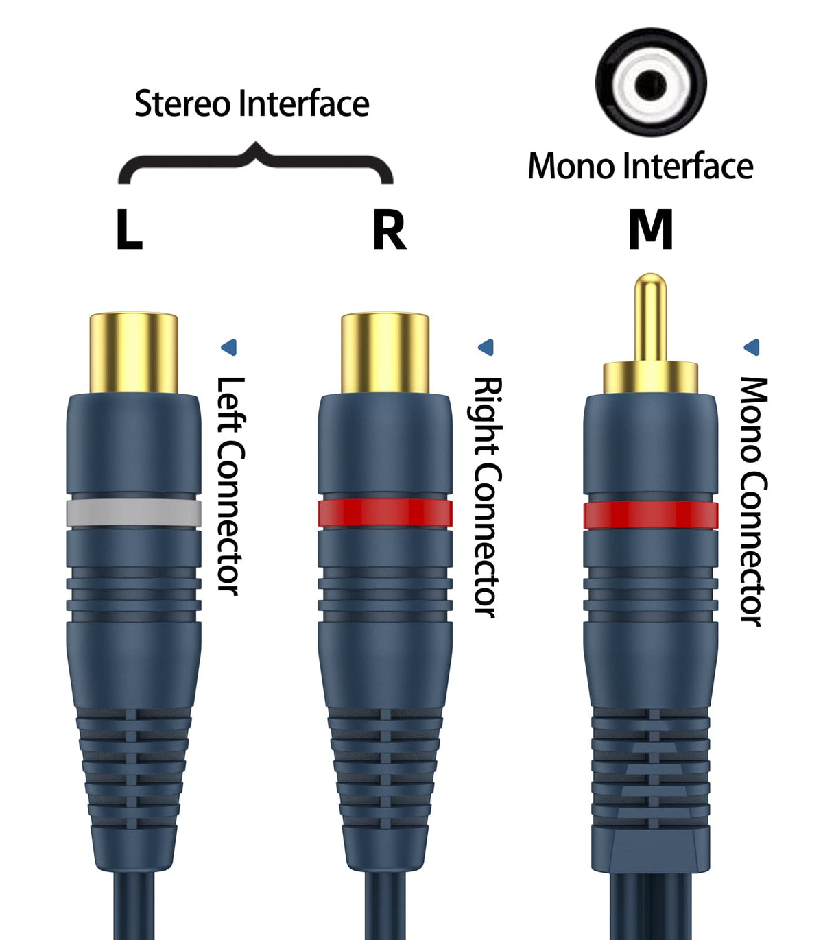 DteeDck RCA splitter dual shielding helps reduce interference for clearer sound