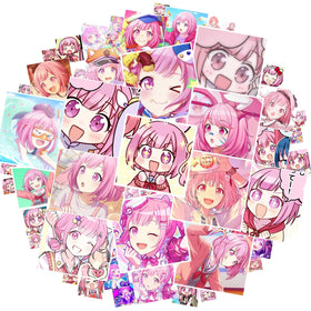 DUANWUPINS front package showing 50-piece sticker set for easy identification and gifting