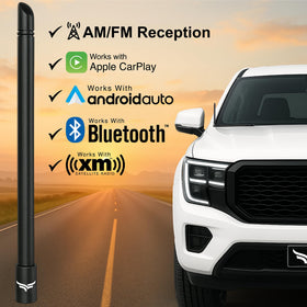 EcoAuto 8-inch antenna on Ford F-Series boosts rugged look and radio clarity.