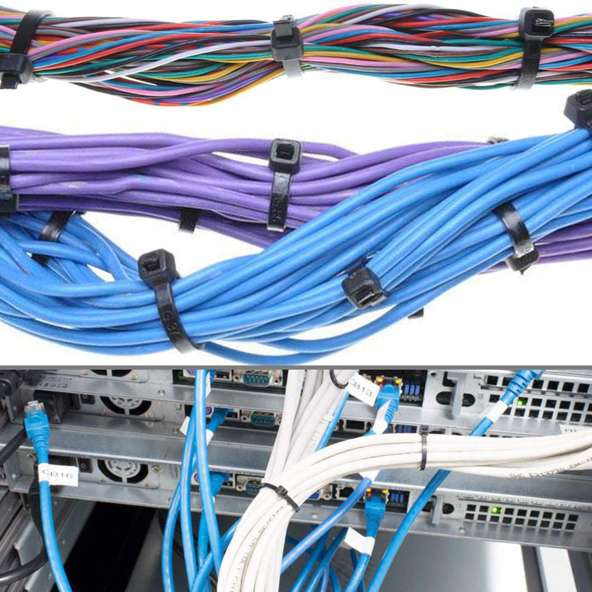 ECRABONE 200-pack provides ample supply for ongoing organization.