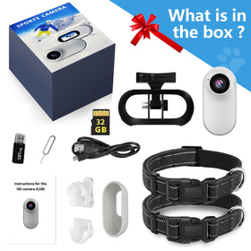 ehomful on cat collar in use showing mounted camera benefit real pet-perspective footage