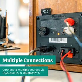 Electrohome Berkeley 2.0 RCA and Aux ports enable flexible connections.