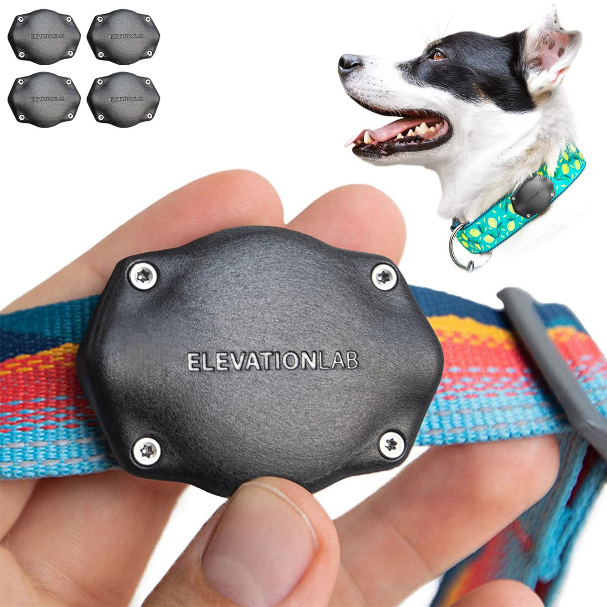 Elevation Lab TagVault secure Thru-Mount for AirTag on dogs, reducing loss risk.