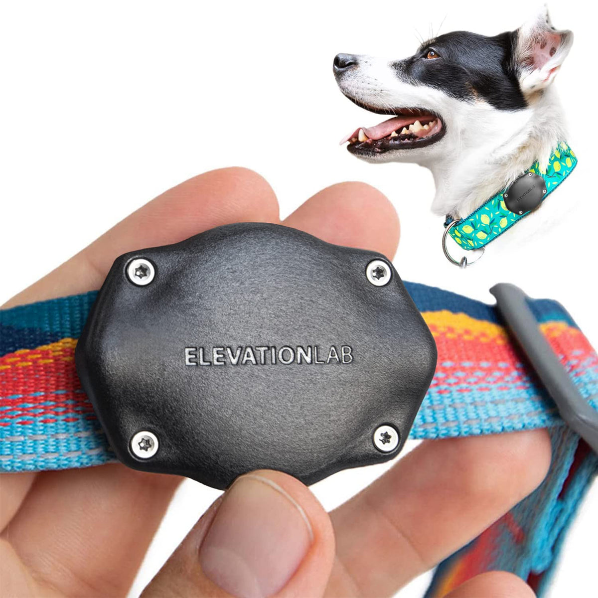 Elevation Lab TagVault AirTag dog collar holder with thru-mount for secure fit during hikes