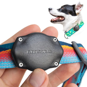 Elevation Lab TagVault AirTag dog collar holder with thru-mount for secure fit during hikes