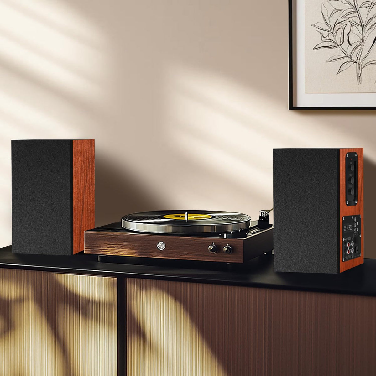 Elimavi speakers mounted on wall offering tidy placement and better sound