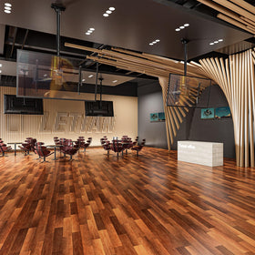 ELIVED works on flat and sloped ceilings for versatile setups.