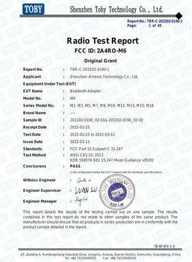Endvler M6 compact device suitable for home and car AV setups.