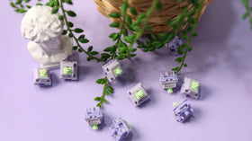 EPOMAKER nine-piece switch kit for Wisteria V2 builds