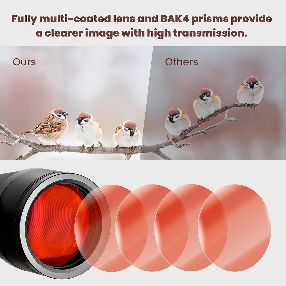 ESSLNB binoculars mounted on tripod adapter for steadier long-distance viewing