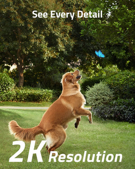 Eufy SoloCam S40 captures 2K footage with clear outdoor detail