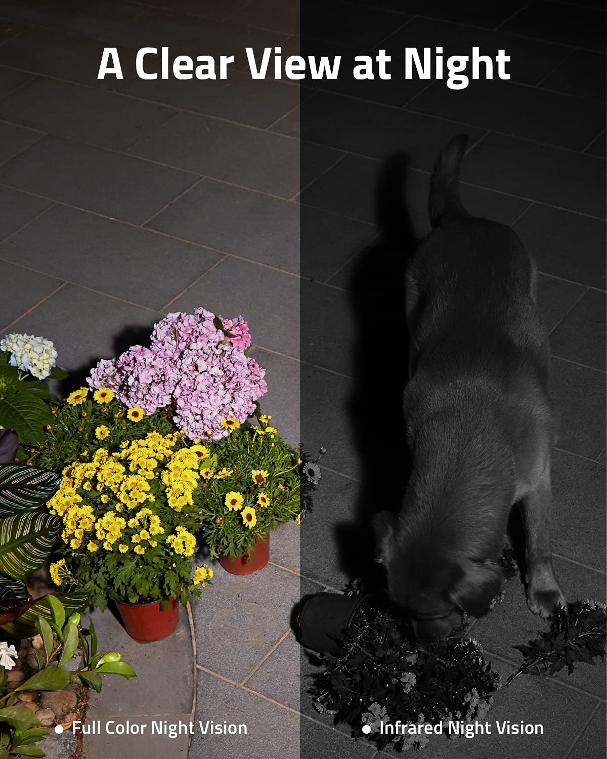 Eufy SoloCam S40 spotlight and color night vision illuminate yard at night