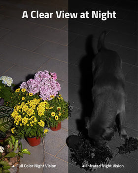 Eufy SoloCam S40 spotlight and color night vision illuminate yard at night