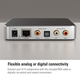 Eve Play RCA, optical, and coaxial ports enable flexible connections.