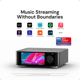 Rear connectors on Eversolo Play showing versatile inputs