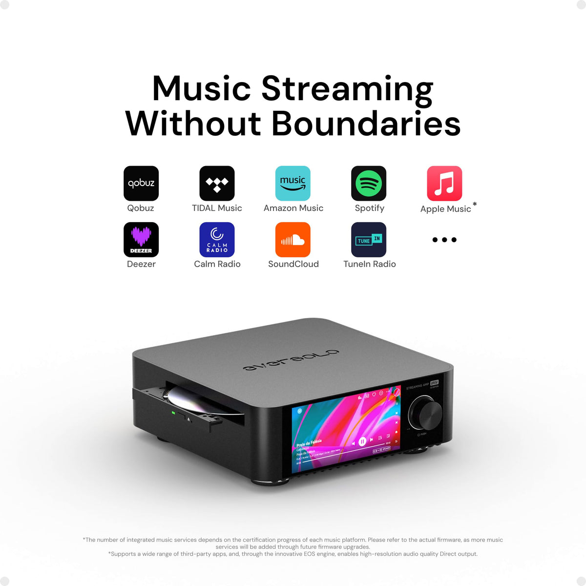 Rear ports on Eversolo Play allow flexible speaker and accessory connections.
