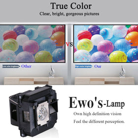 EWO'S lamp socket and connector detail demonstrating secure, exact fit