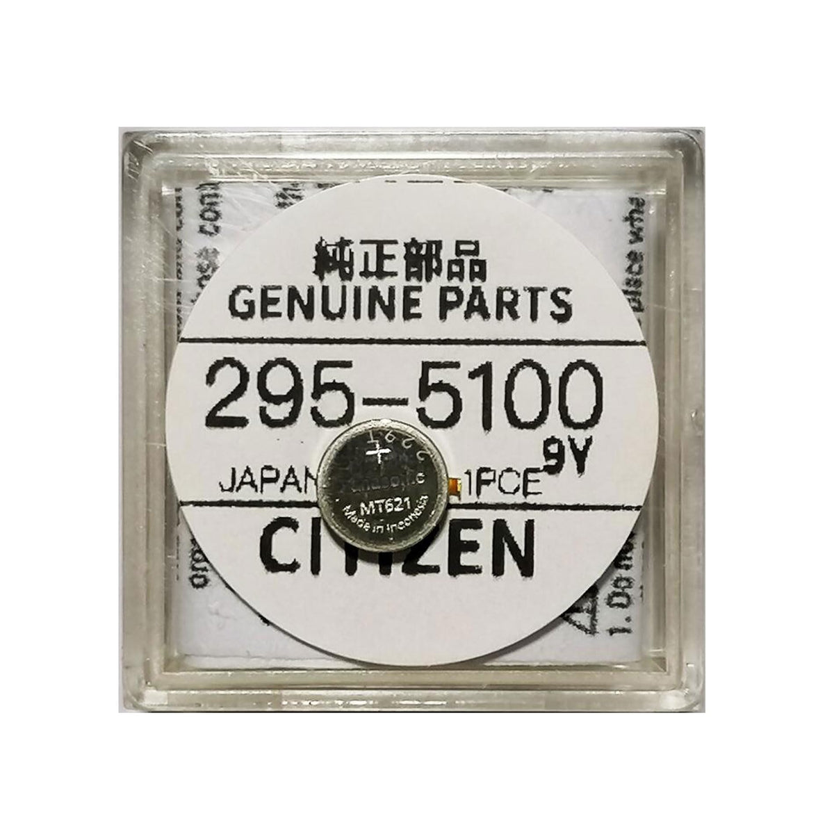 Packaged battery and protective storage box ready for long-term daily use.