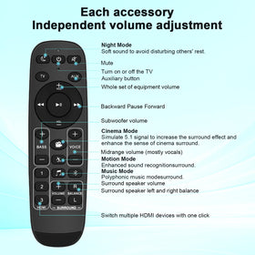 Compact, portable remote designed for quick access to essential soundbar controls.