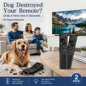 EYAIOROTES 2-pack box, handy spare remote for multi-room setup.