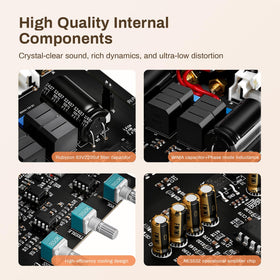 EYTSE P60 aluminum heatsink keeps the amp cool during sessions