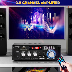 Facmogu 298A Max two mic inputs for karaoke or announcements