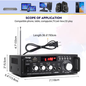 Facmogu 298A Max USB and SD card inputs for music playback