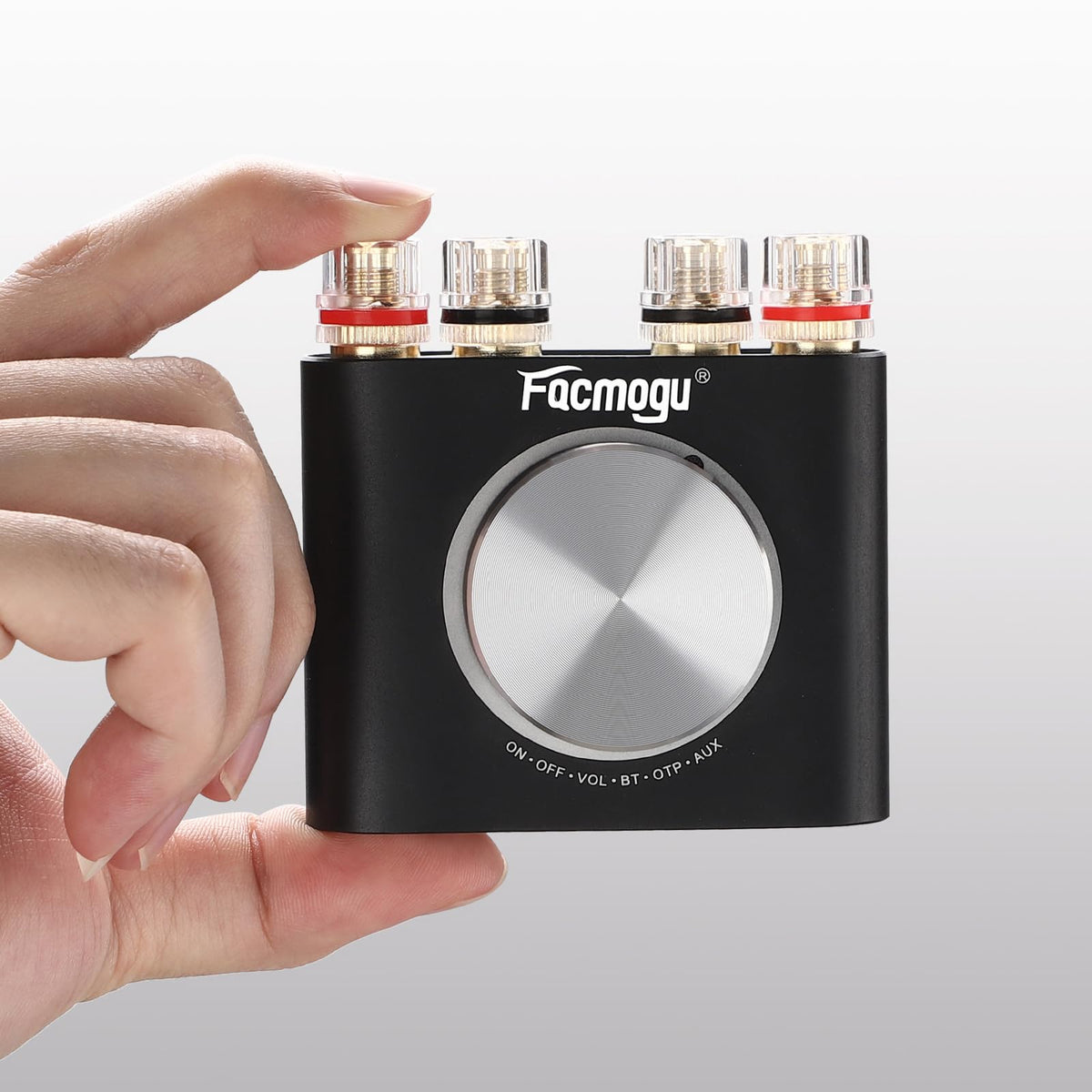 Facmogu M6 rear view showing speaker terminals, optical and AUX ports for flexible connections