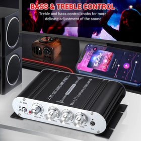 Facmogu ST-838 sub volume control enables separate woofer adjustment.