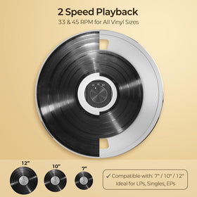 FancyRabbit AT-3600L cartridge image shows clear tracking for accurate musical replay.