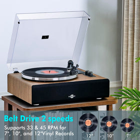 FancyRabbit magnetic cartridge AT-3600L tracking grooves for crisp audio.