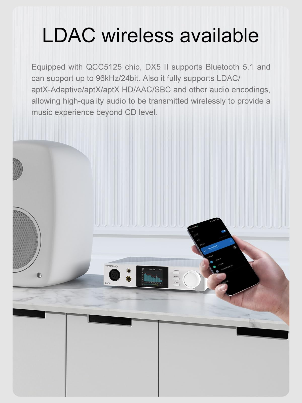 Fanmusic DX5 II I/V converter section reduces distortion.