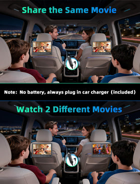 FELEMAN USB/SD playback for diverse media formats in-car