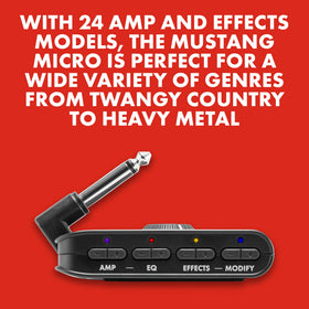 Portable 5-watt unit fits in a guitar bag