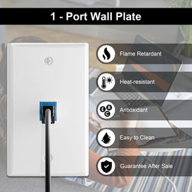 FGB standard-fit keystone wall plate demonstrates easy customization for RJ45 HDMI coax.