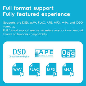Fiio Echo MINI memory expansion with 8GB internal and SD up to 256GB.