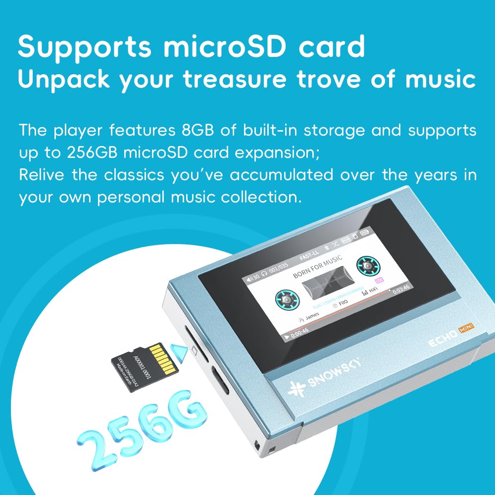 Fiio Echo MINI Sky Blue supports DSD WAV FLAC and more formats