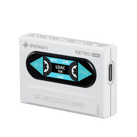 FiiO Snowsky Retro Nano front-angle with retro UI for portable listening.