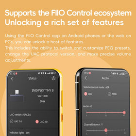 FiiO Tiny DAC all-metal CNC aluminum build for durability and style