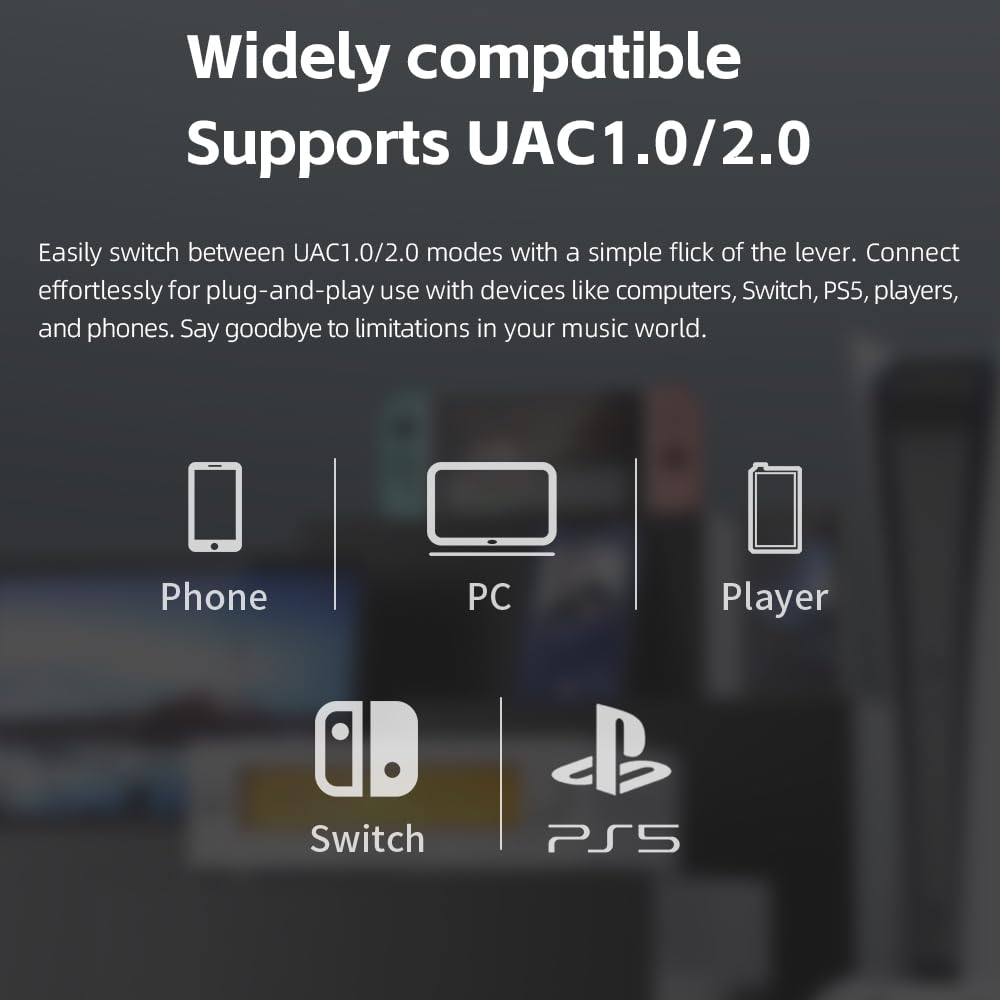 FIIO Warmer R2R back panel with RCA and XLR outputs for versatile integration.