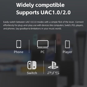 FIIO Warmer R2R back panel with RCA and XLR outputs for versatile integration.