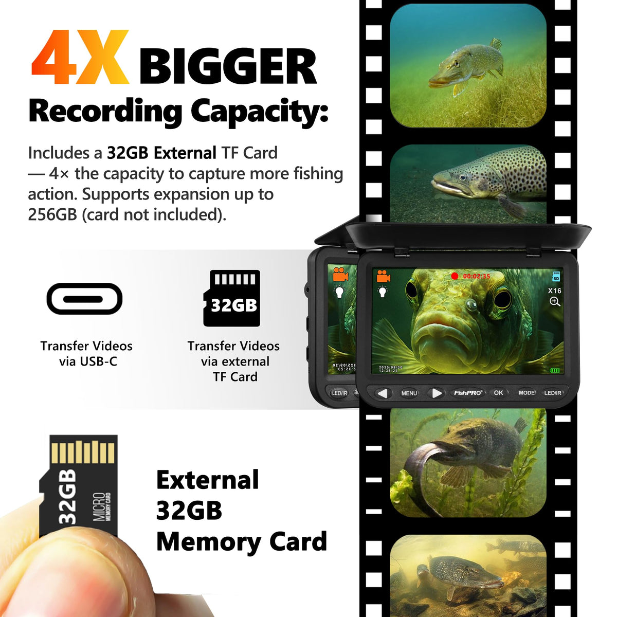 FishPRO 7-inch IPS monitor delivering true color from wide angles for easier reading.