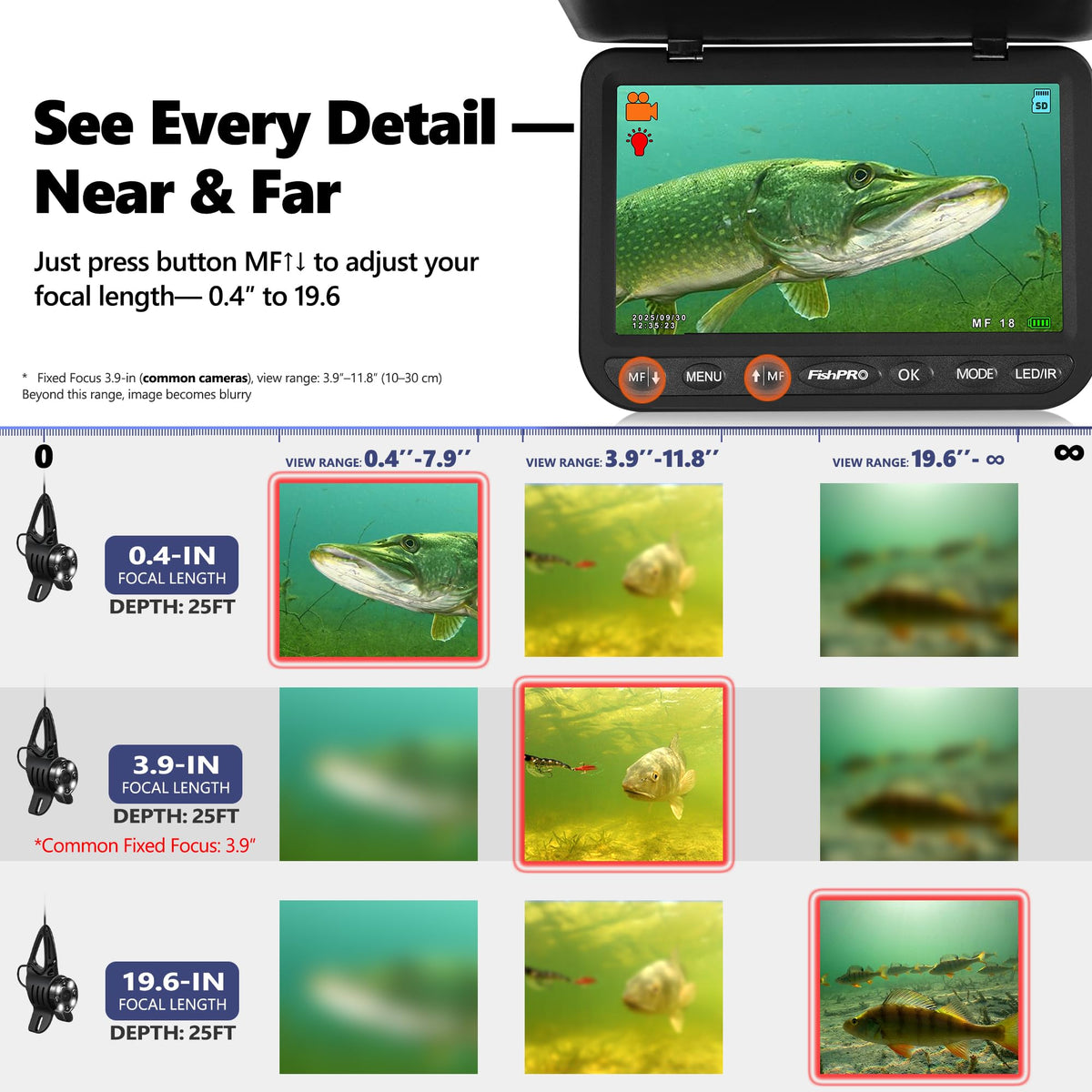FishPro FocusX long-range scouting reveals distant underwater activity clearly.