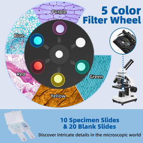Fitense phone holder attached capturing microscope image for sharing