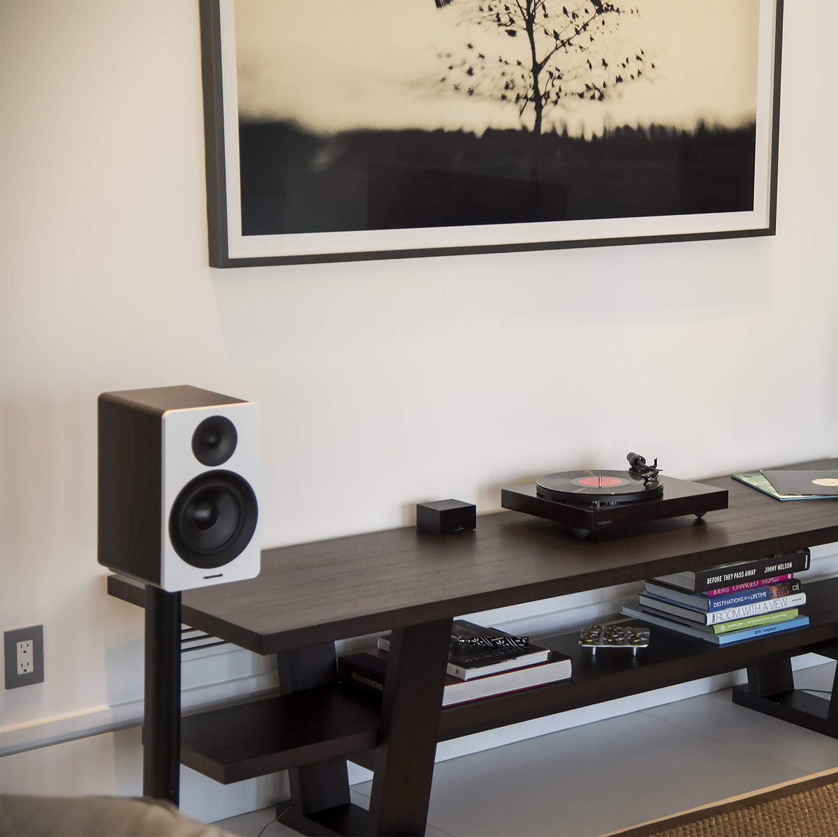Fluance PA10 high-pass filter helps reduce subsonic rumble for stable listening.