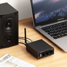 Fosi Audio BL20A close-up of bass and treble knobs for precise tone control