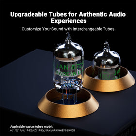 Fosi Audio Box X2 rear panel with inputs, outputs, and grounding post for stability