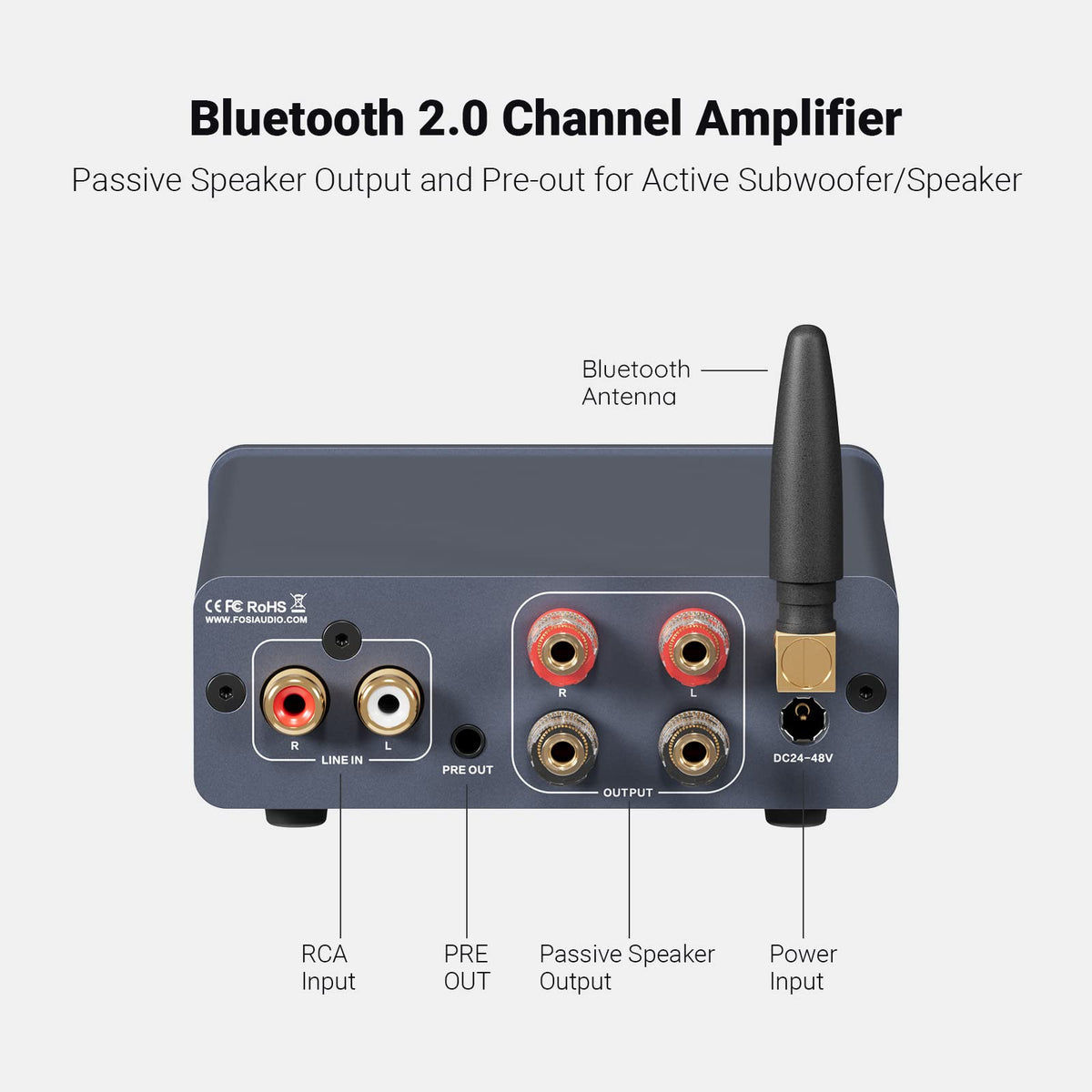Fosi Audio BT20A Pro back panel with outputs and inputs for setup options